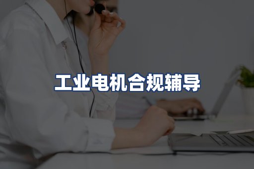 工业电机合规辅导